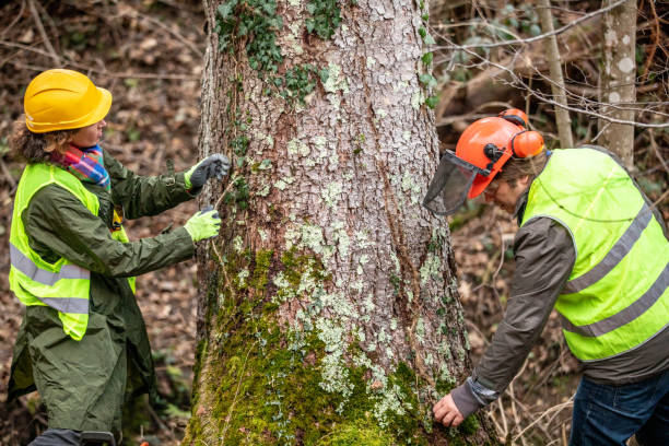 Best Seasonal Cleanup (Spring/Fall)  in Milford, NJ